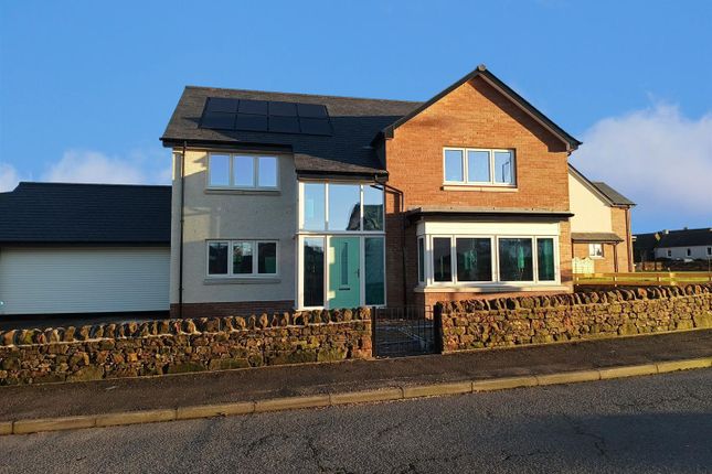 Thumbnail Detached house for sale in Birchwood Crescent, Dumfries