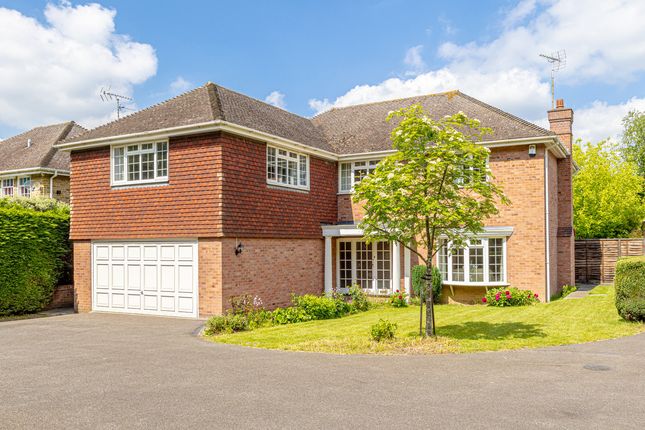 Thumbnail Detached house for sale in Norsey Road, Billericay