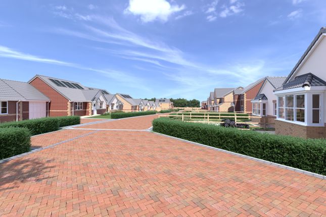 Plots 16/17, The Queen, Swann Road photo 3