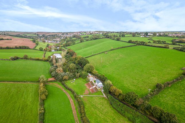 Cottage for sale in Crediton