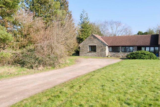 Thumbnail Semi-detached bungalow to rent in Yelling Mill Lane, Downside, Shepton Mallet
