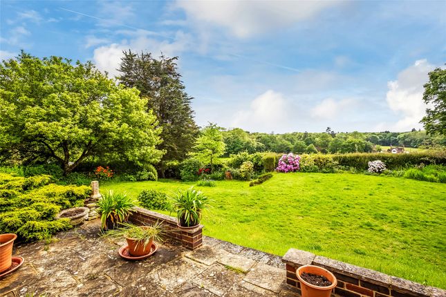 Thumbnail Bungalow for sale in Weare Street, Ockley, Dorking, Surrey