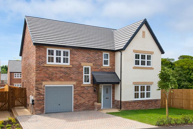 Thumbnail Detached house for sale in "Lawson" at Beaumont Hill, Darlington