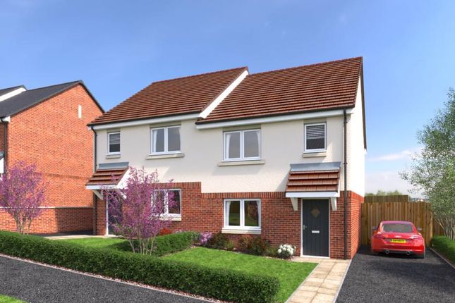 Thumbnail Semi-detached house for sale in Cae Celyn, Maes Gwern, Mold, Flintshire