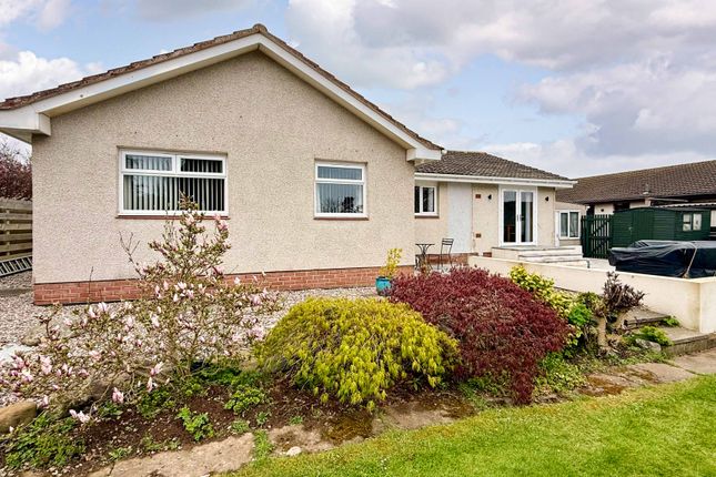 3, Morven Avenue, Montrose photo 3