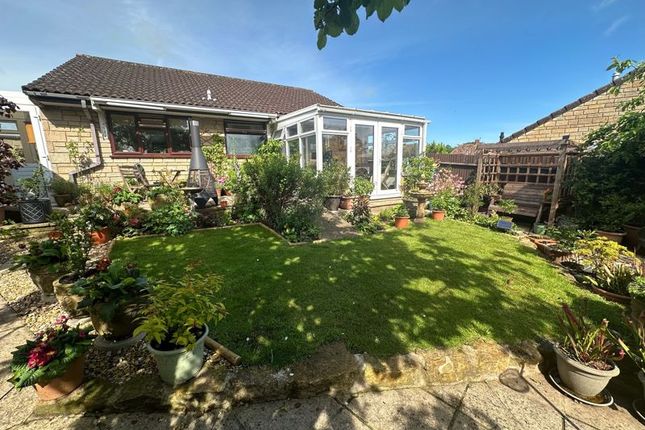 Thumbnail Detached bungalow for sale in Walscombe Close, Stoke-Sub-Hamdon - Quiet Position, Village Location