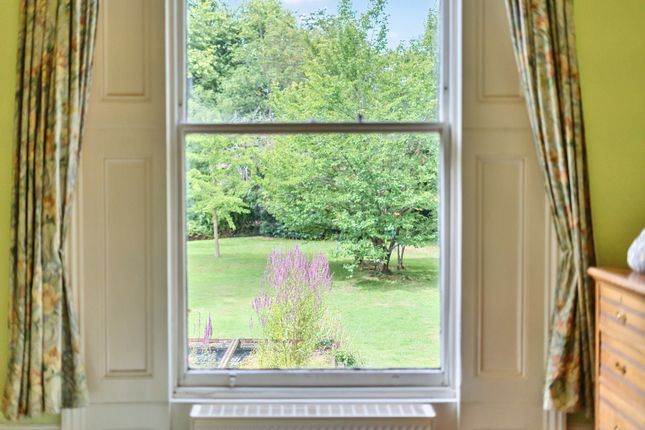 Window