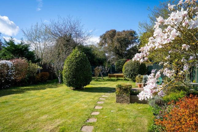 Cedars, Wrabness Road, Harwich photo 3