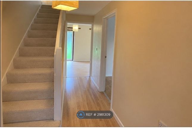 Angelica Road, Guildford photo 5