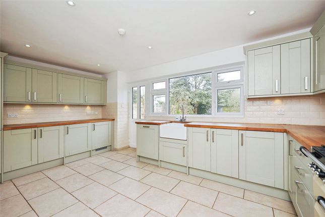 Trimmingham,, Kingsdown Hill, Deal photo 4