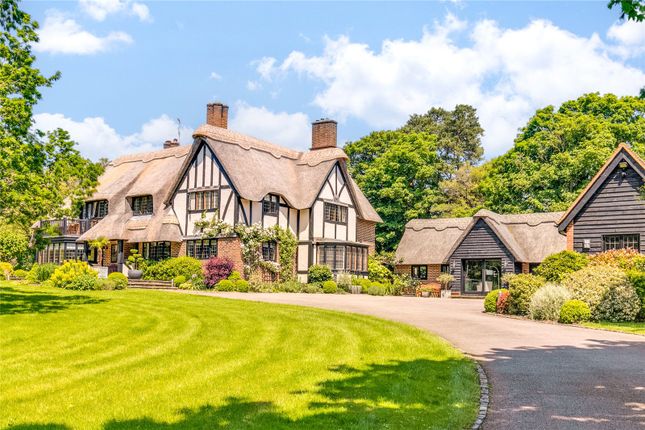 The Thatched House