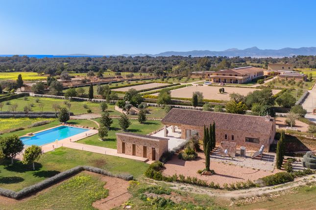 Commercial property for sale in Country Hotel, Llucmajor, Mallorca, 07620