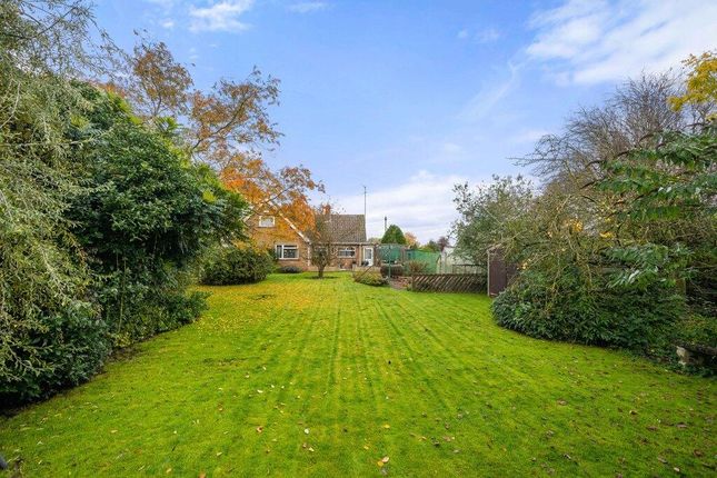 112, School Road, Wisbech photo 2