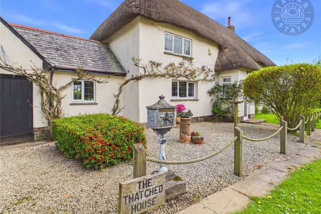 The Thatched House,, Thornbury, Devon photo 2