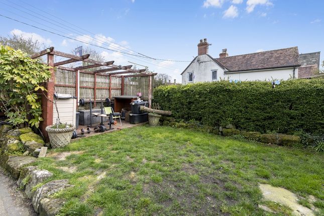 Spare Penny Cottage, 2, Magdalene Lane, Shaftesbury photo 4