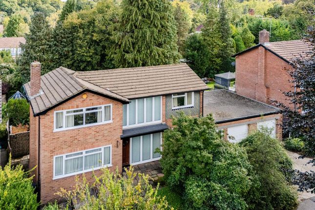 Kingsdene, 19 Drone  (11).Jpg