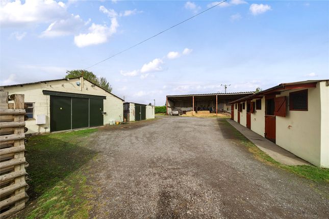 Banwell Equestrian Centre (Whole),, Moor Road, Somerset photo 3