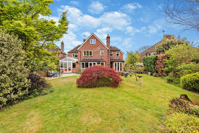 Thumbnail Detached house for sale in Pine View Close, Haslemere, Surrey