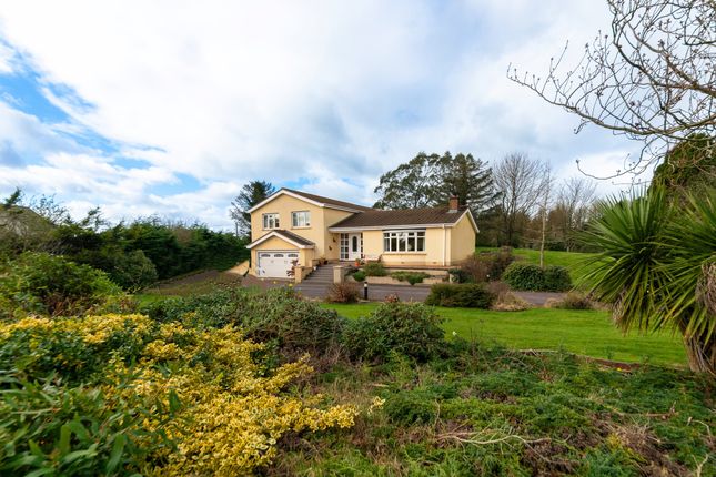 Thumbnail Detached house for sale in 24 Crossgar Road East, Crossgar, Downpatrick, County Down