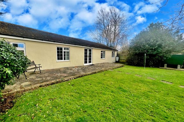 Thumbnail Bungalow to rent in Easthampnett Lane, Easthampnett, Chichester, West Sussex