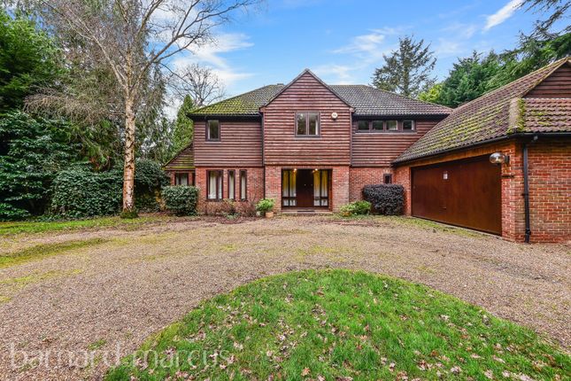 Thumbnail Property to rent in Littleworth Lane, Esher