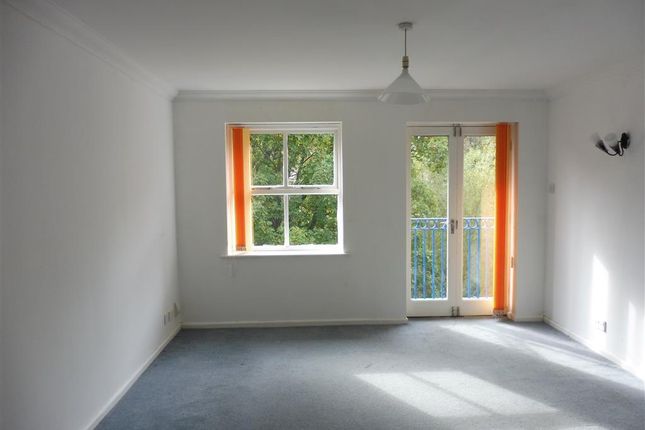 31, Kent photo 2