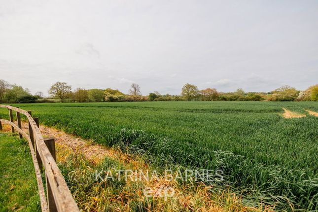 Abode, Broads Green, Chelmsford photo 2