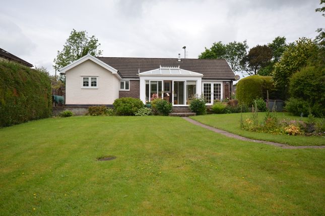 Thumbnail Detached bungalow for sale in Penrhyncoch, Aberystwyth