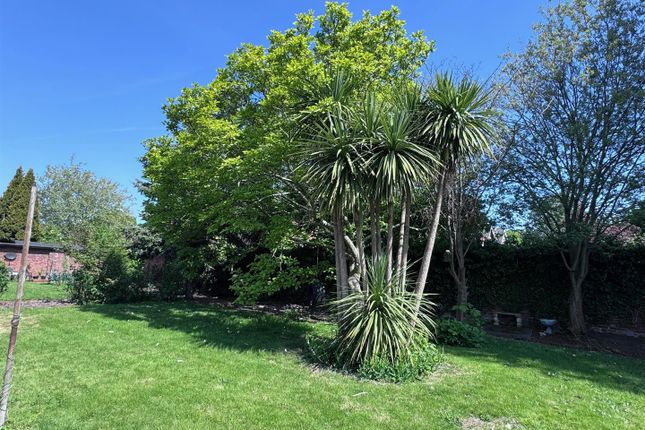 Garden Shot With Lawned Area.Jpg