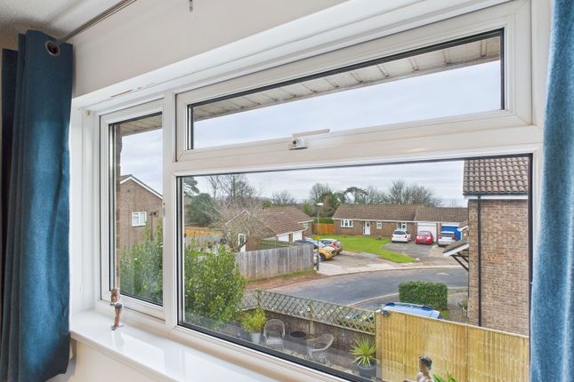 16, Haytor Avenue, Paignton photo 4