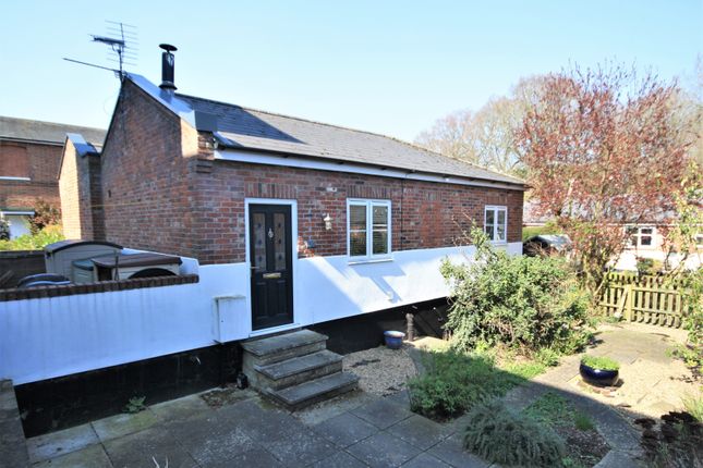 Thumbnail Semi-detached bungalow to rent in The Vale, Swainsthorpe, Norwich