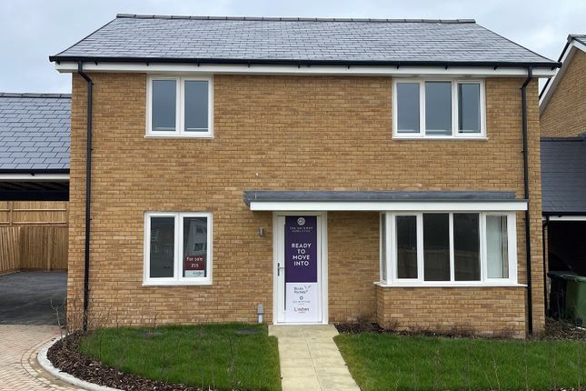 215 Bexhill Linden Exterior