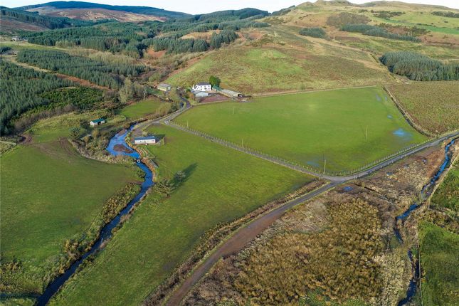 Homeston Farm, Homeston Farm, Campbeltown photo 2