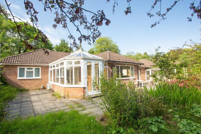 Detached bungalow for sale in Possingworth Park, Cross In Hand, Heathfield, East Sussex