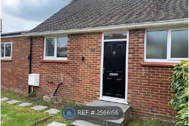 Front Garden/Entrance