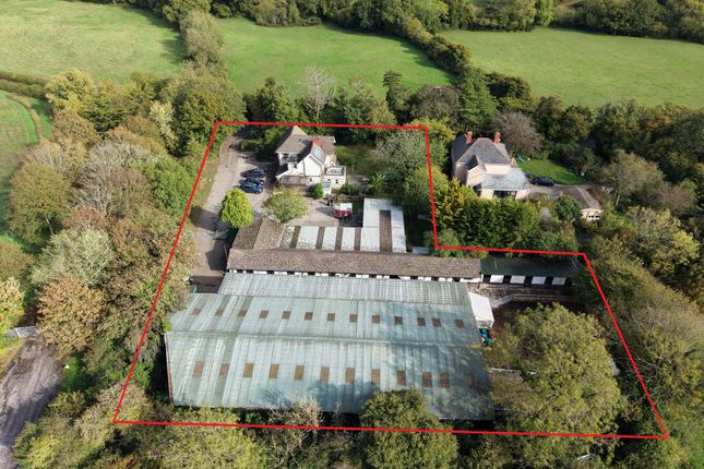 Downside House, Cattery & Riding School, Sully Road, Penarth photo 2
