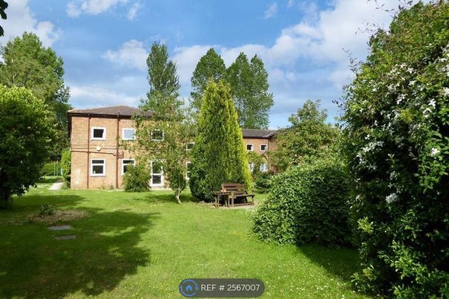 Communal Garden