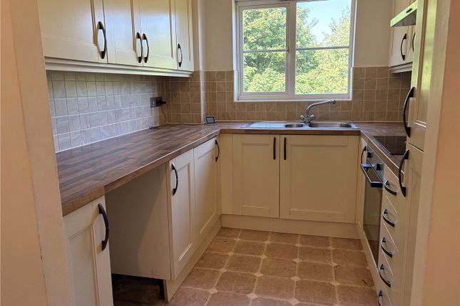 10, Whyte Close, Dover photo 3