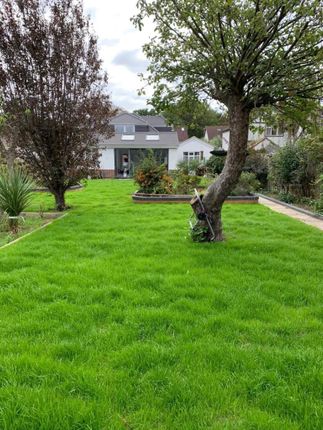 Ellerman Avenue, Twickenham photo 3