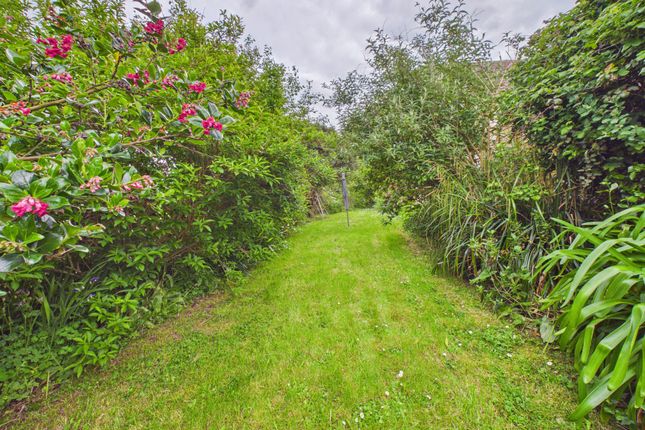 1, Cricket Park, Bude photo 3