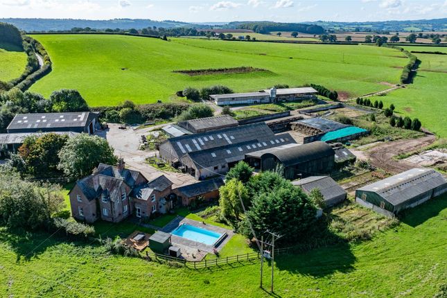 Yellowford Farm, Thorverton photo 4