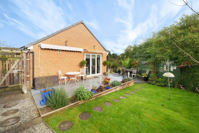 Detached bungalow for sale in Wood Close, Christow, Teign Valley