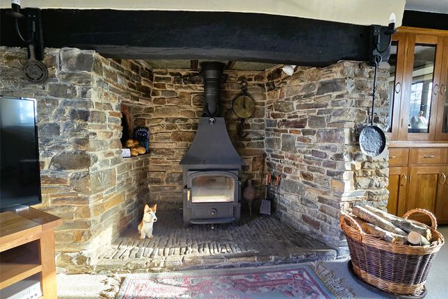 Highlands Beaford, Winkleigh Devon, Devon photo 4