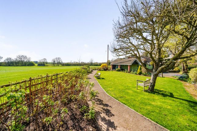 Detached bungalow for sale in Summerland, Radway Road, Nunnington, Hereford