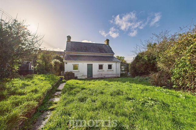 Llwyncelyn, Cardigan photo 4