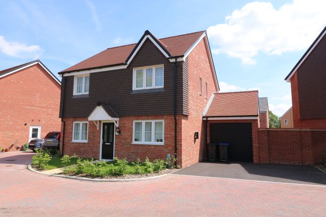 Detached house to rent in Tanners Meadow, Brockham, Betchworth