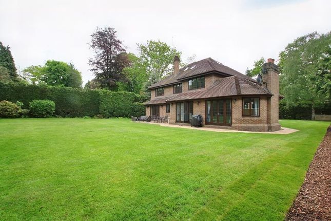 Detached house to rent in Old Avenue, West Byfleet