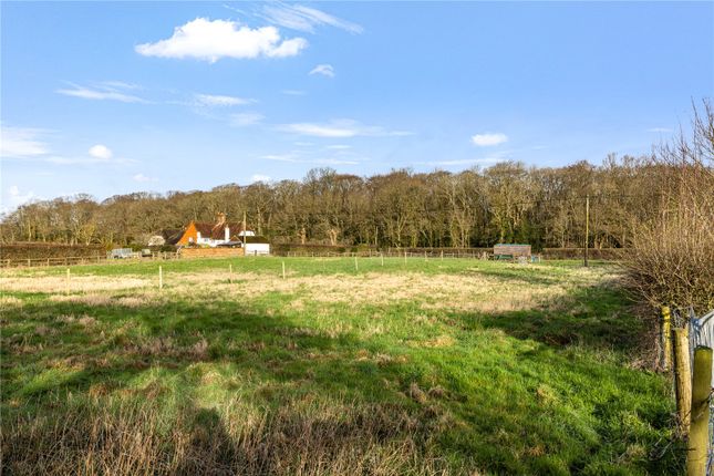 Detached house for sale in Rye Common, Odiham, Hook, Hampshire