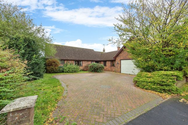 Thumbnail Detached bungalow for sale in Boundary Road, Hockwold, Thetford
