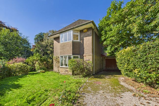 Welcome To Wittenham